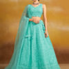 BRIDESMAID LEHENGA CHOLI  5124-sky