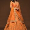 HEAVY WEDDING LEHENGA CHOLI