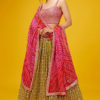 Luxurious Olive Lehenga Choli Set 5076-Olive